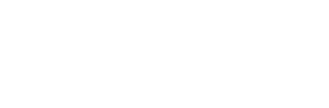 Phari Tech Services, inicio